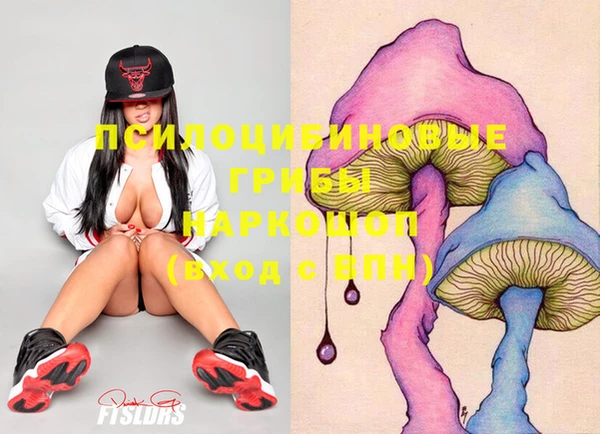 не бодяженный Переславль-Залесский