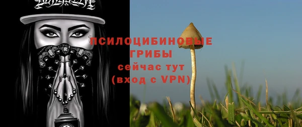 не бодяженный Переславль-Залесский